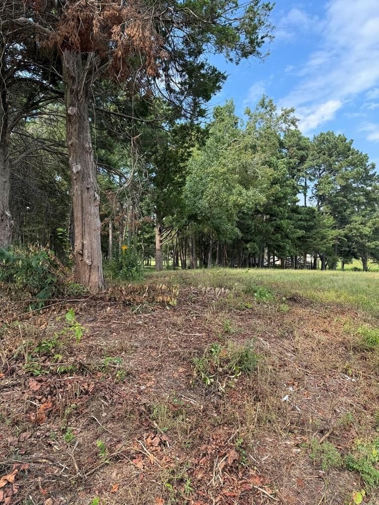 20.41 acres in Texas County - photo 12