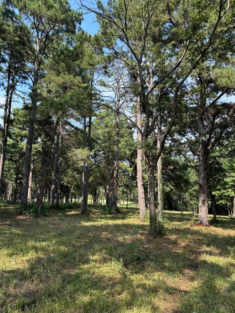 20.41 acres in Texas County - photo 6