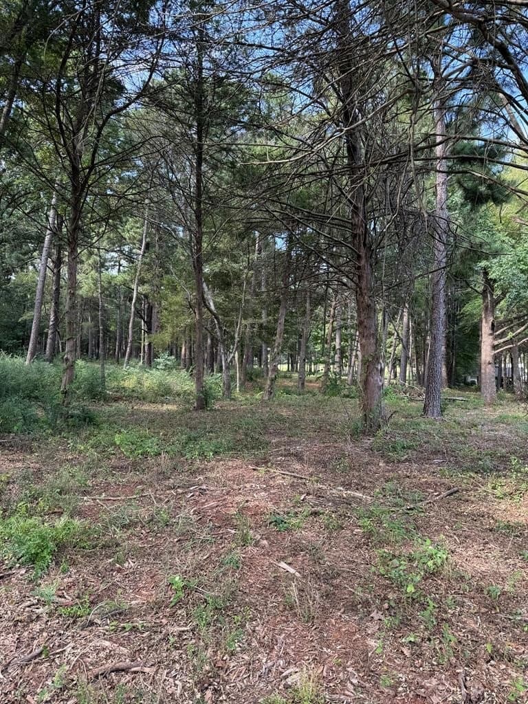 20.41 acres in Texas County - photo 13