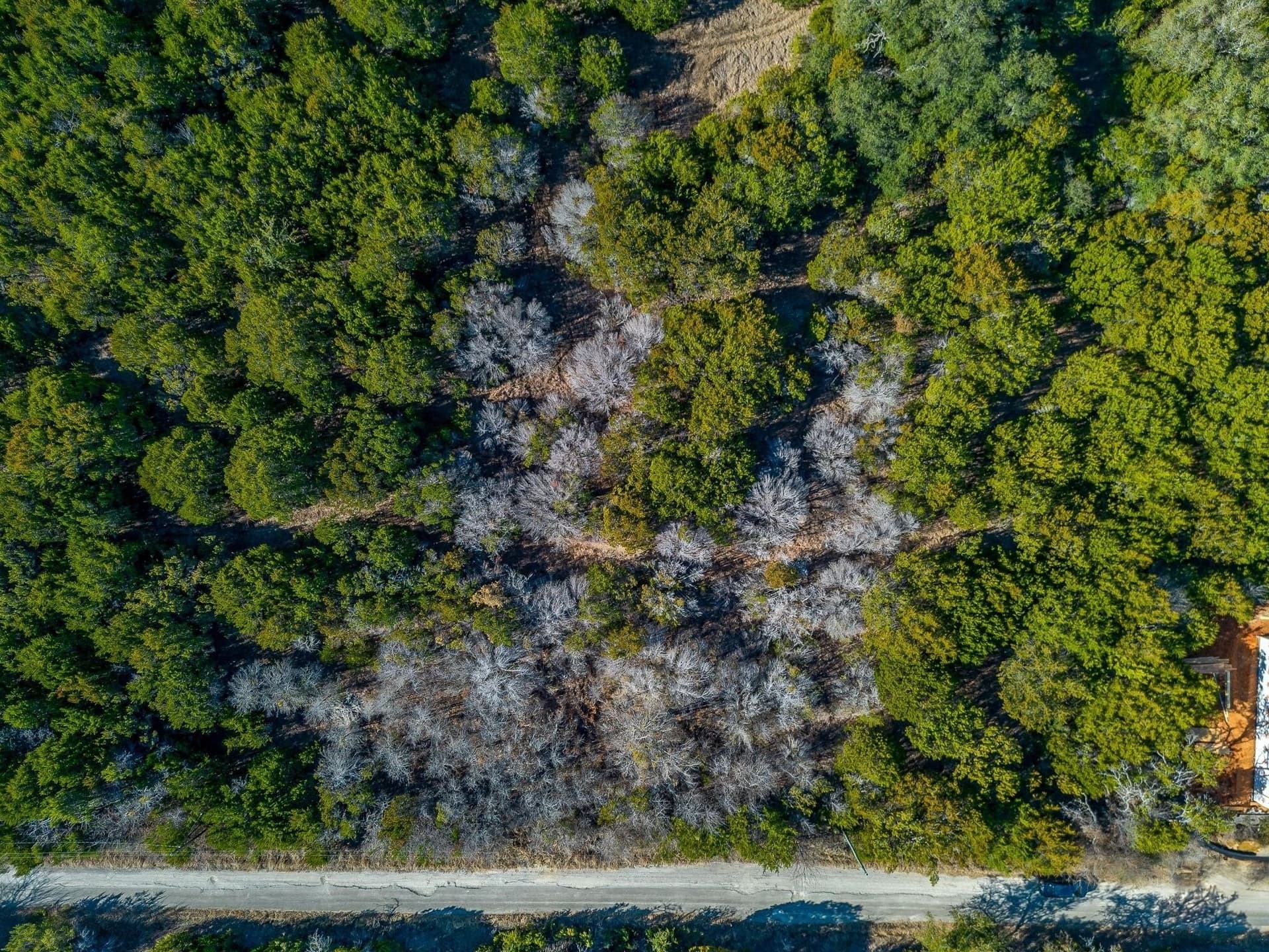 0.03 acres in Hood County - photo 11