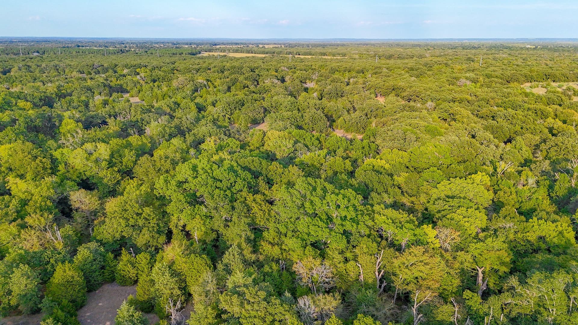 13.11 acres in Navarro County - photo 32