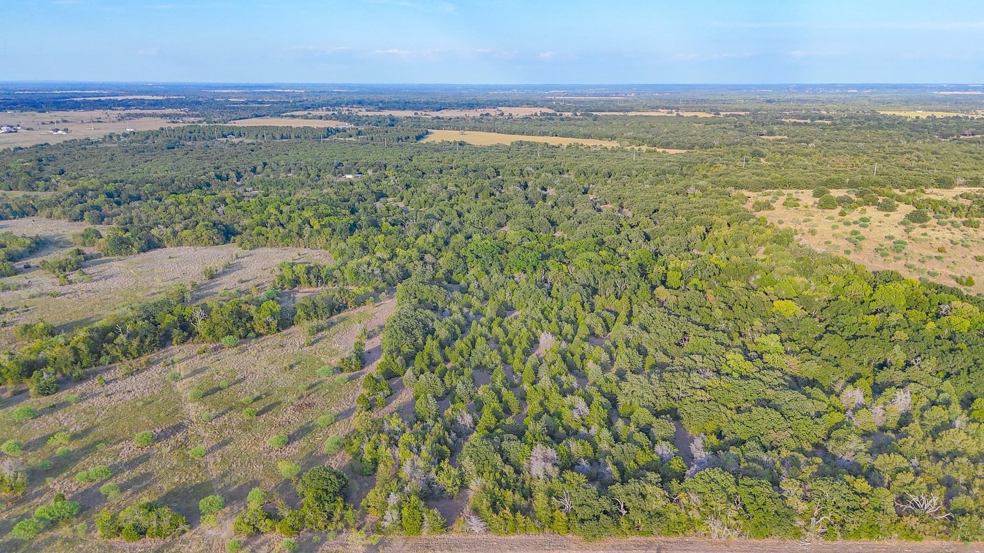 13.11 acres in Navarro County - photo 23