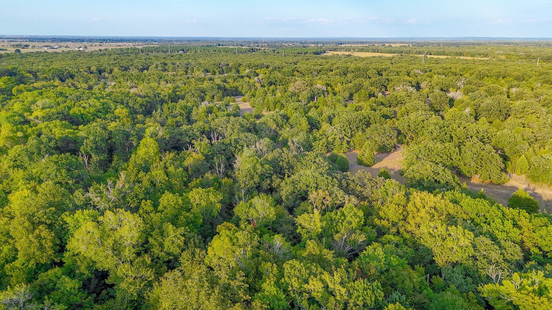 13.11 acres in Navarro County - photo 33