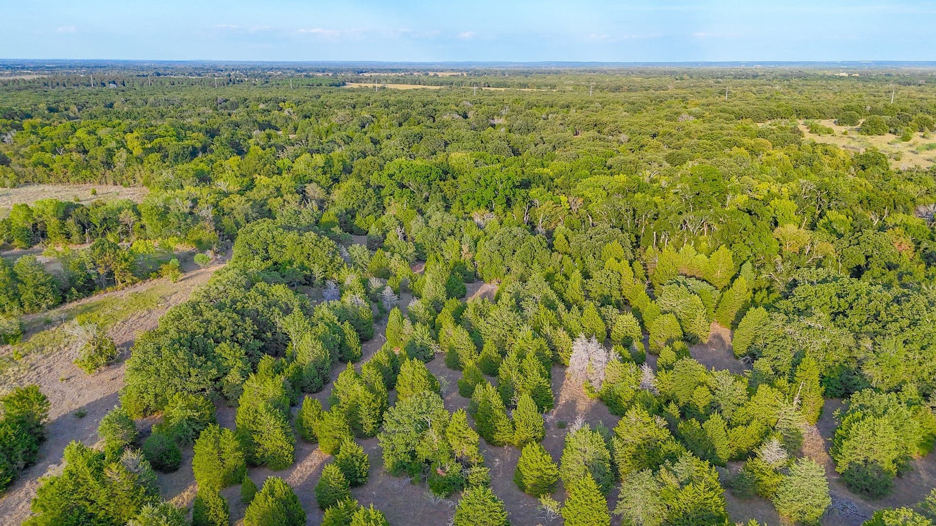 13.11 acres in Navarro County - photo 29