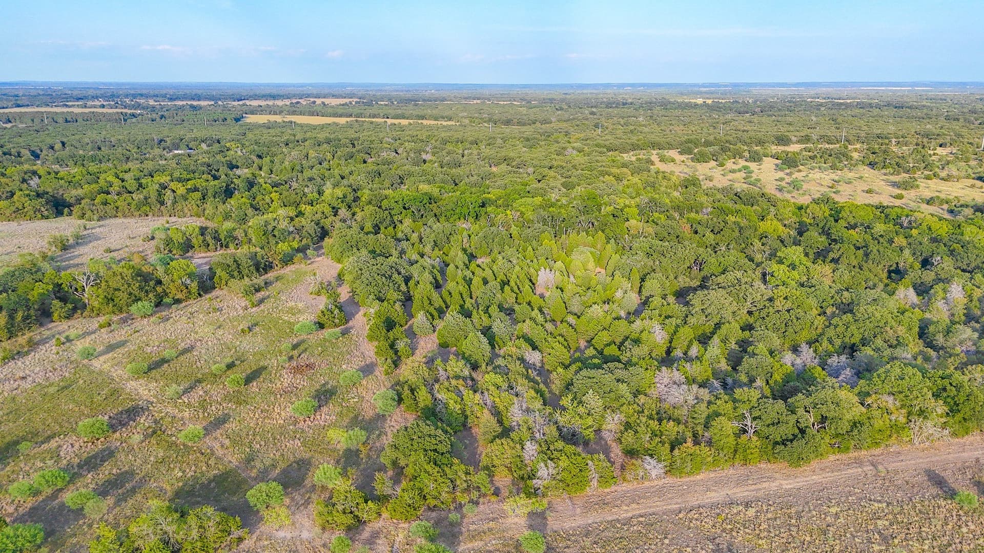 13.11 acres in Navarro County - photo 26