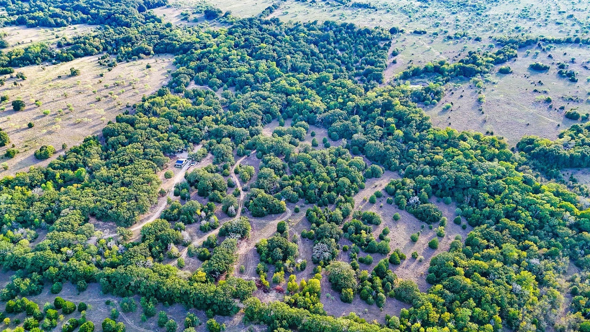 13.11 acres in Navarro County - photo 11