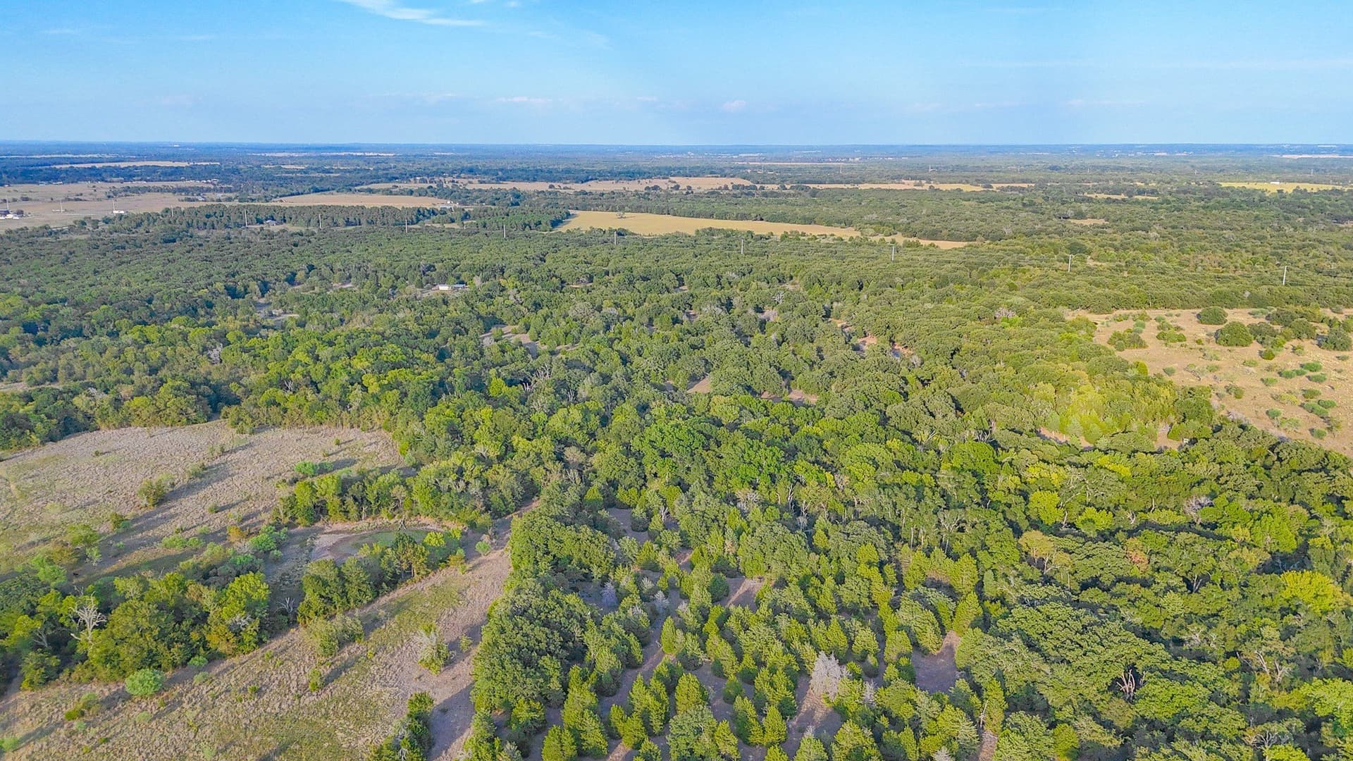 13.11 acres in Navarro County - photo 16