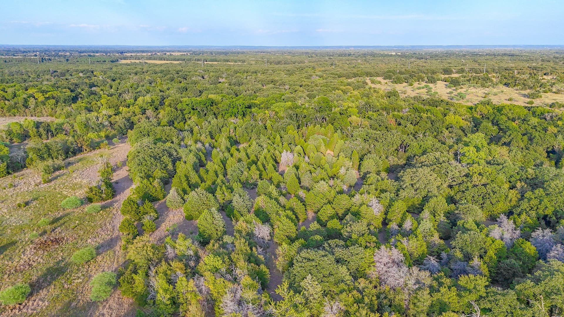 13.11 acres in Navarro County - photo 27
