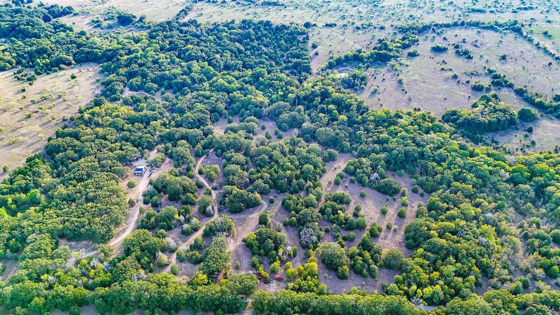 13.11 acres in Navarro County - photo 12