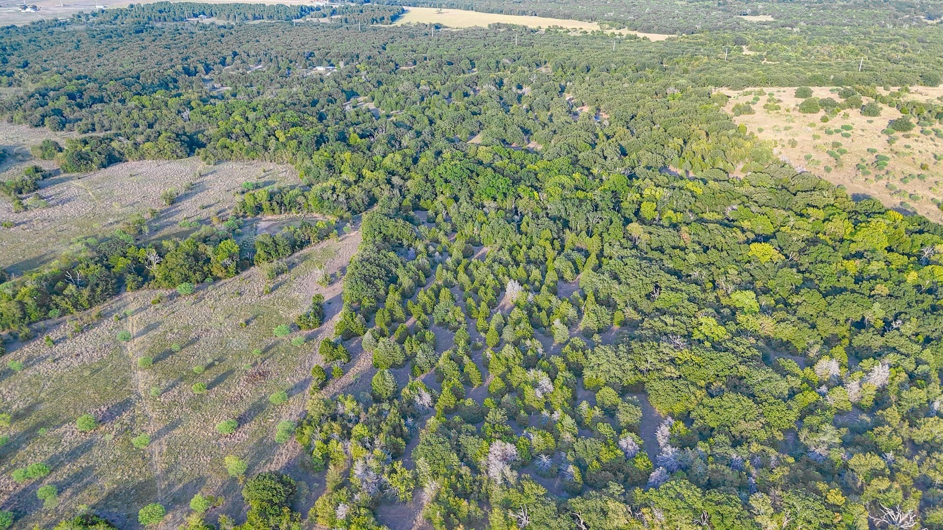 13.11 acres in Navarro County - photo 17