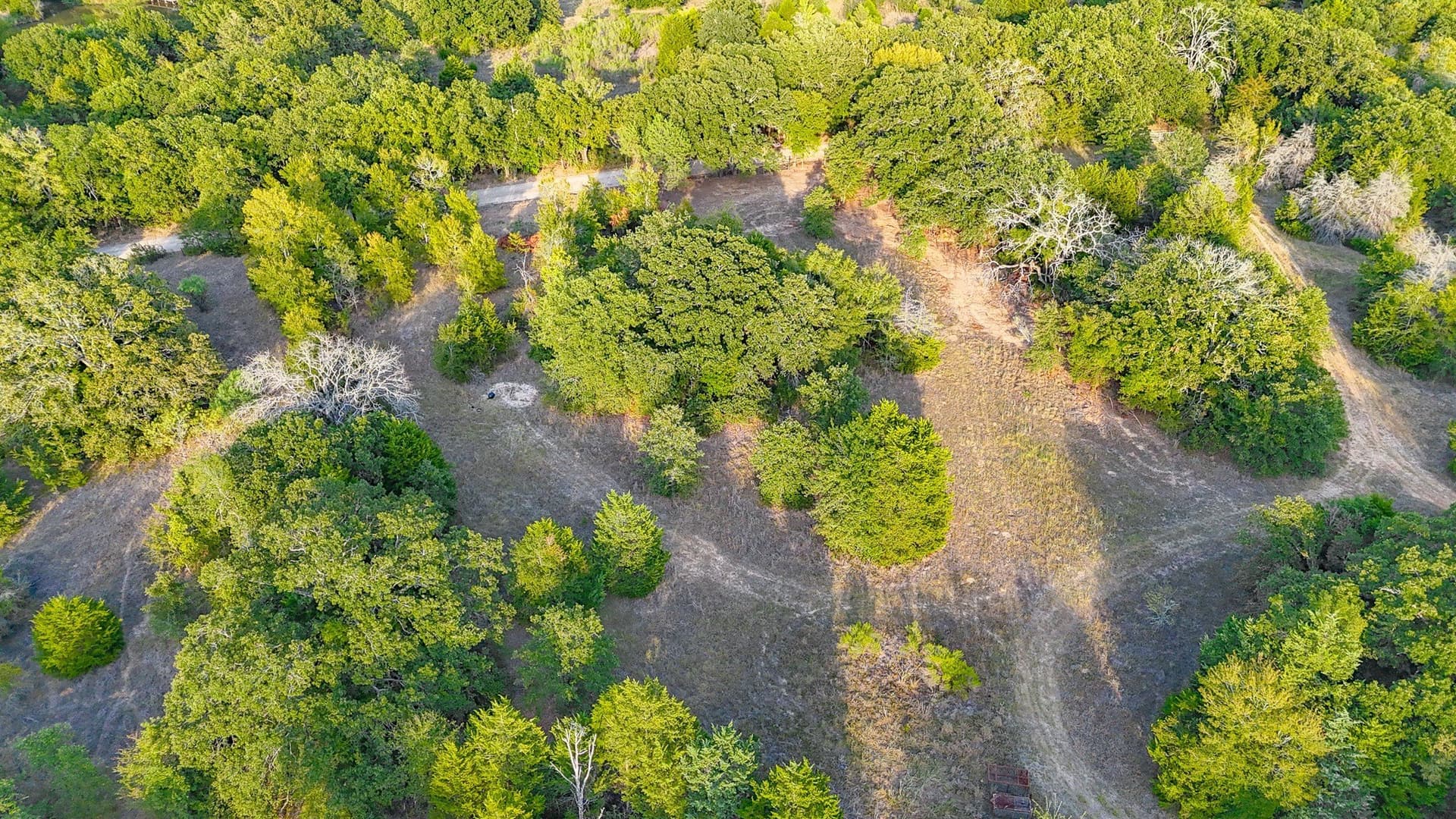 13.11 acres in Navarro County - photo 38