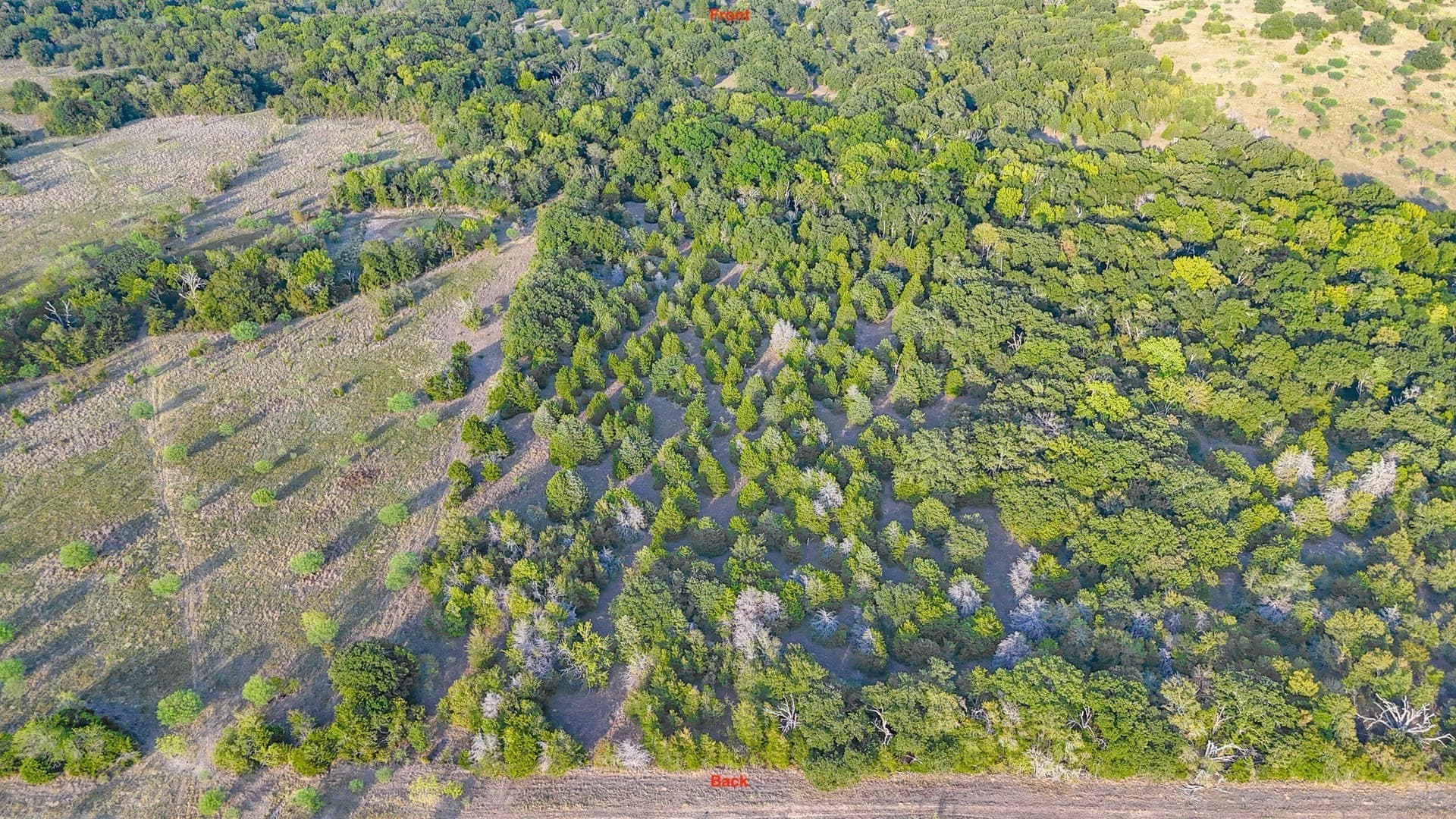 13.11 acres in Navarro County - photo 5