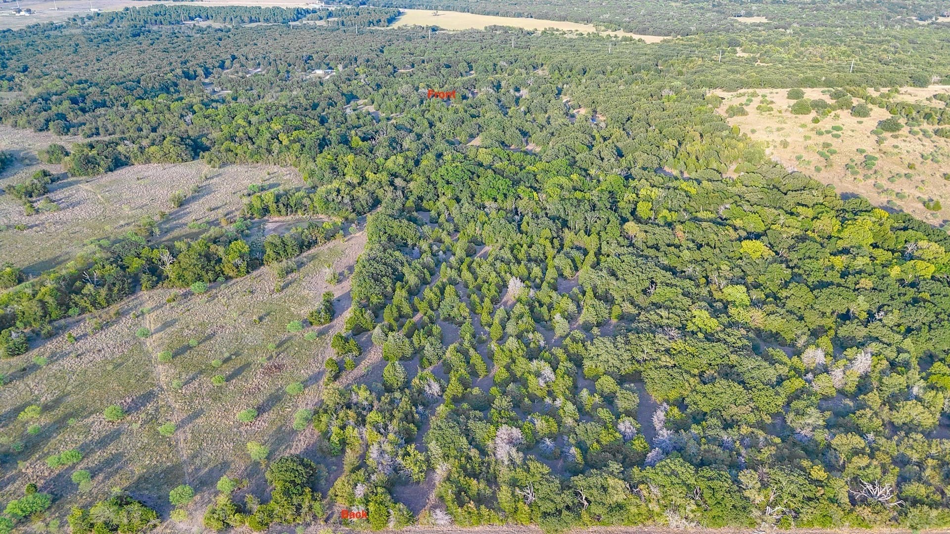 13.11 acres in Navarro County - photo 18