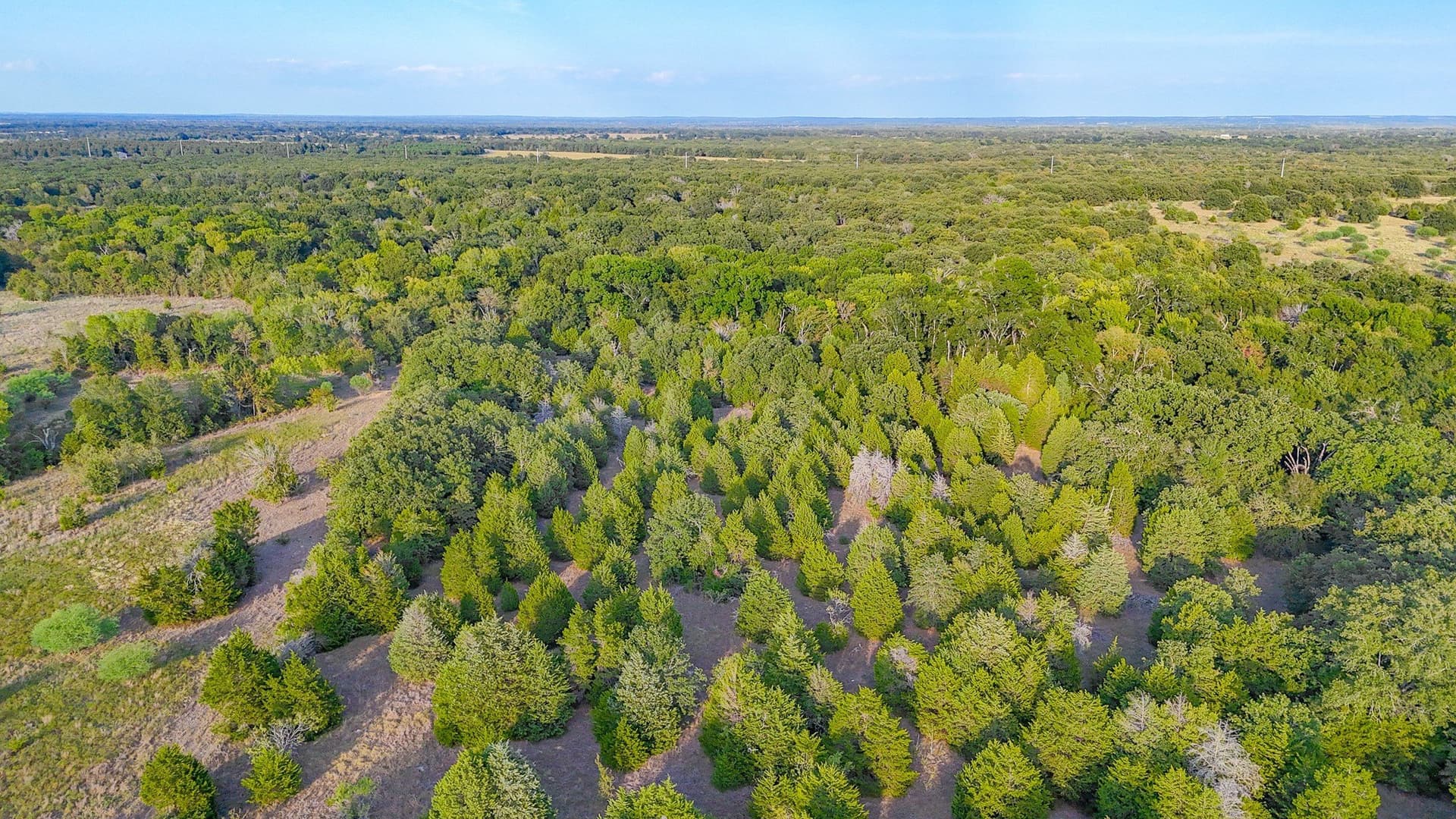 13.11 acres in Navarro County - photo 28