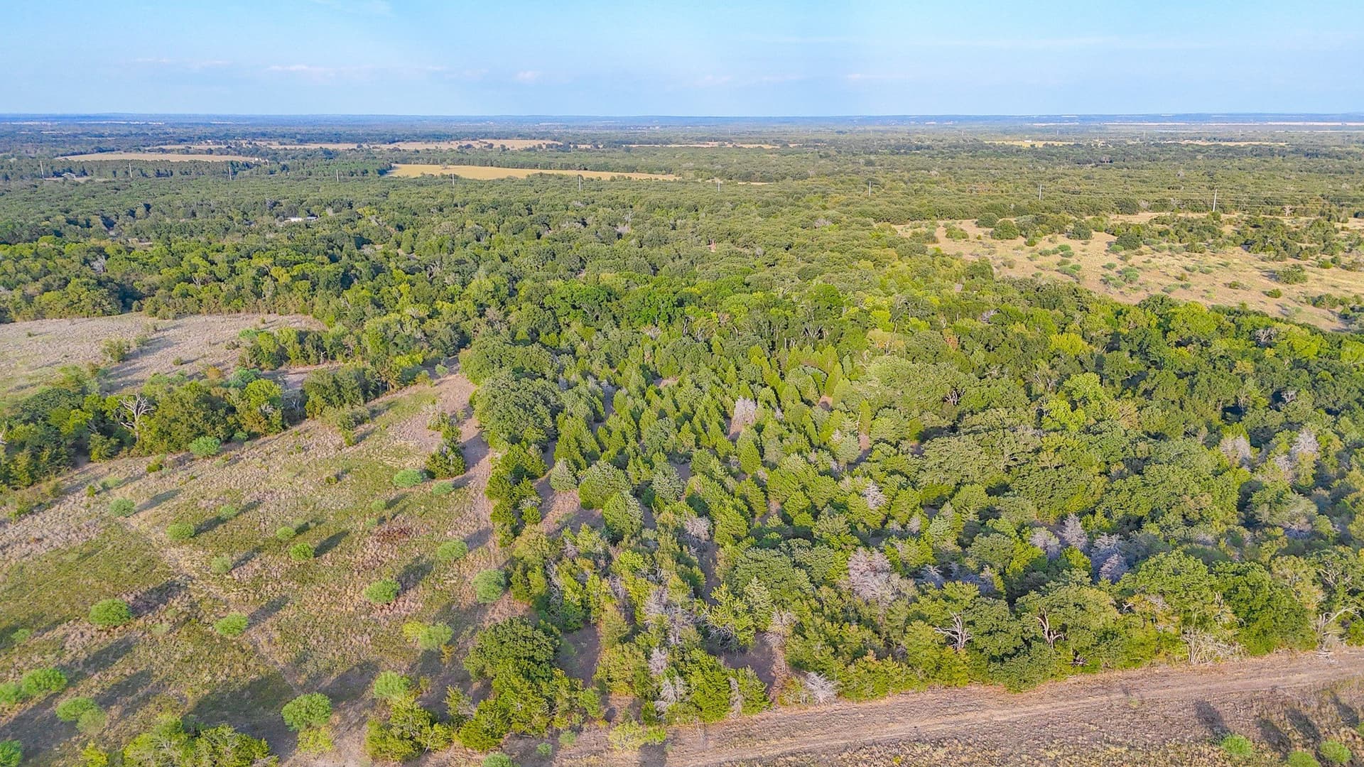 13.11 acres in Navarro County - photo 25