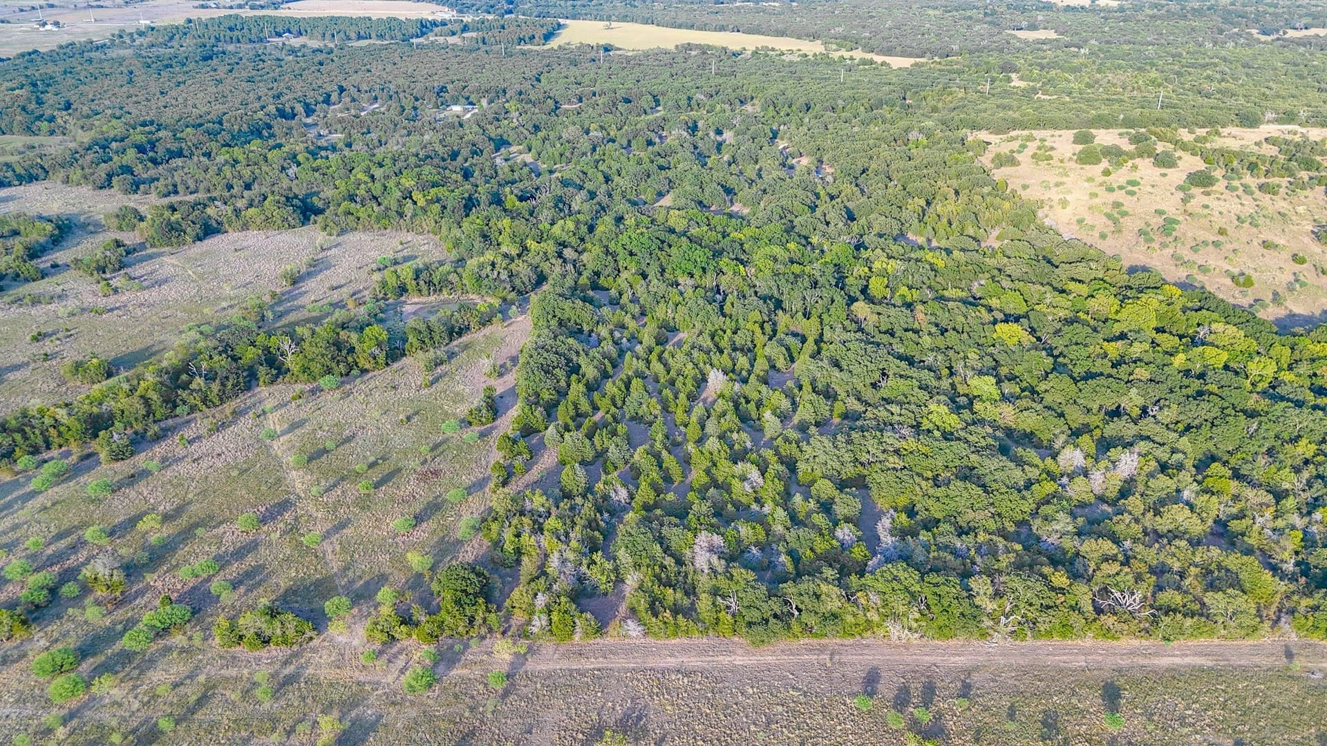 13.11 acres in Navarro County - photo 21