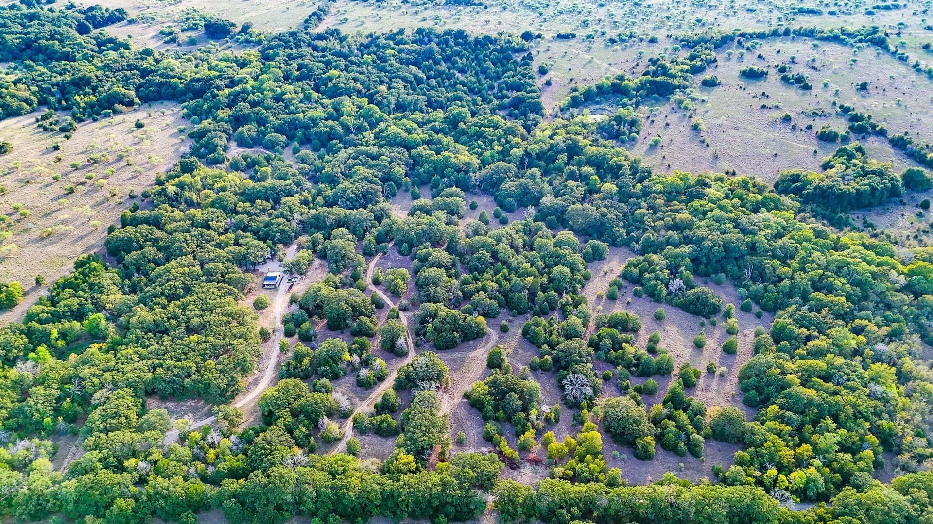 13.11 acres in Navarro County - photo 14