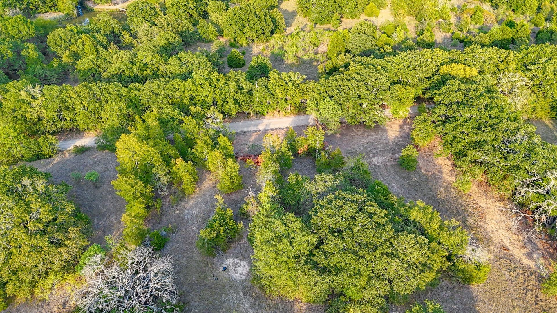 13.11 acres in Navarro County - photo 39