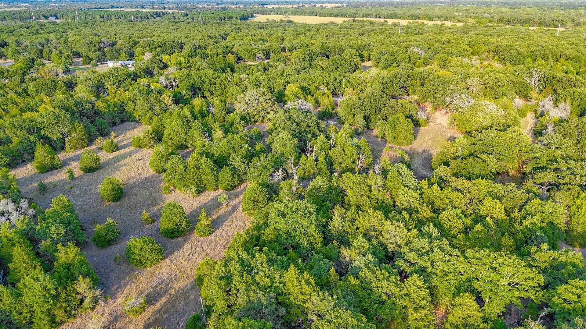 13.11 acres in Navarro County - photo 36