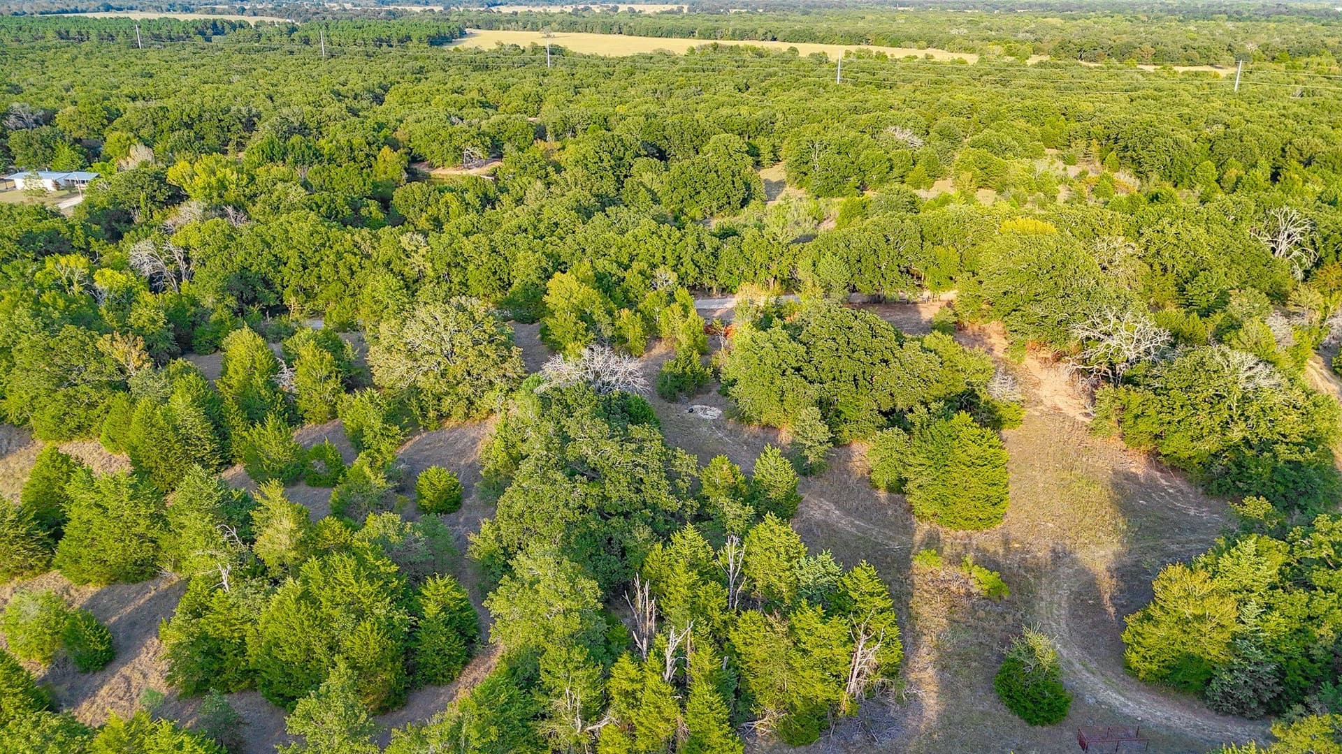 13.11 acres in Navarro County - photo 37