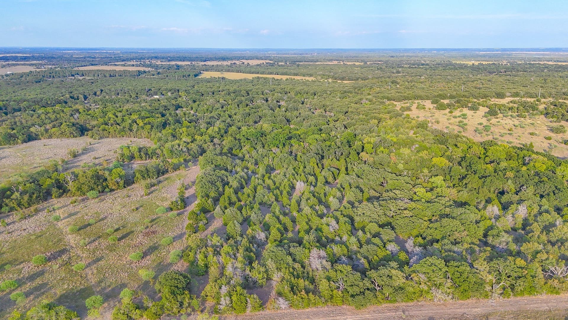 13.11 acres in Navarro County - photo 24