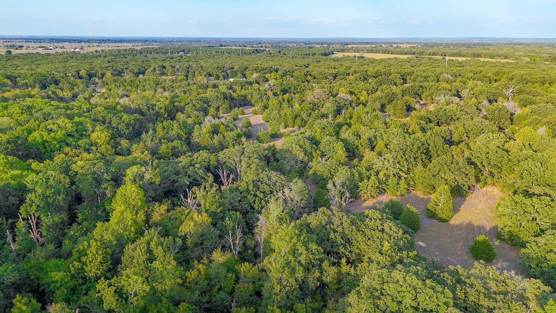 13.11 acres in Navarro County - photo 34