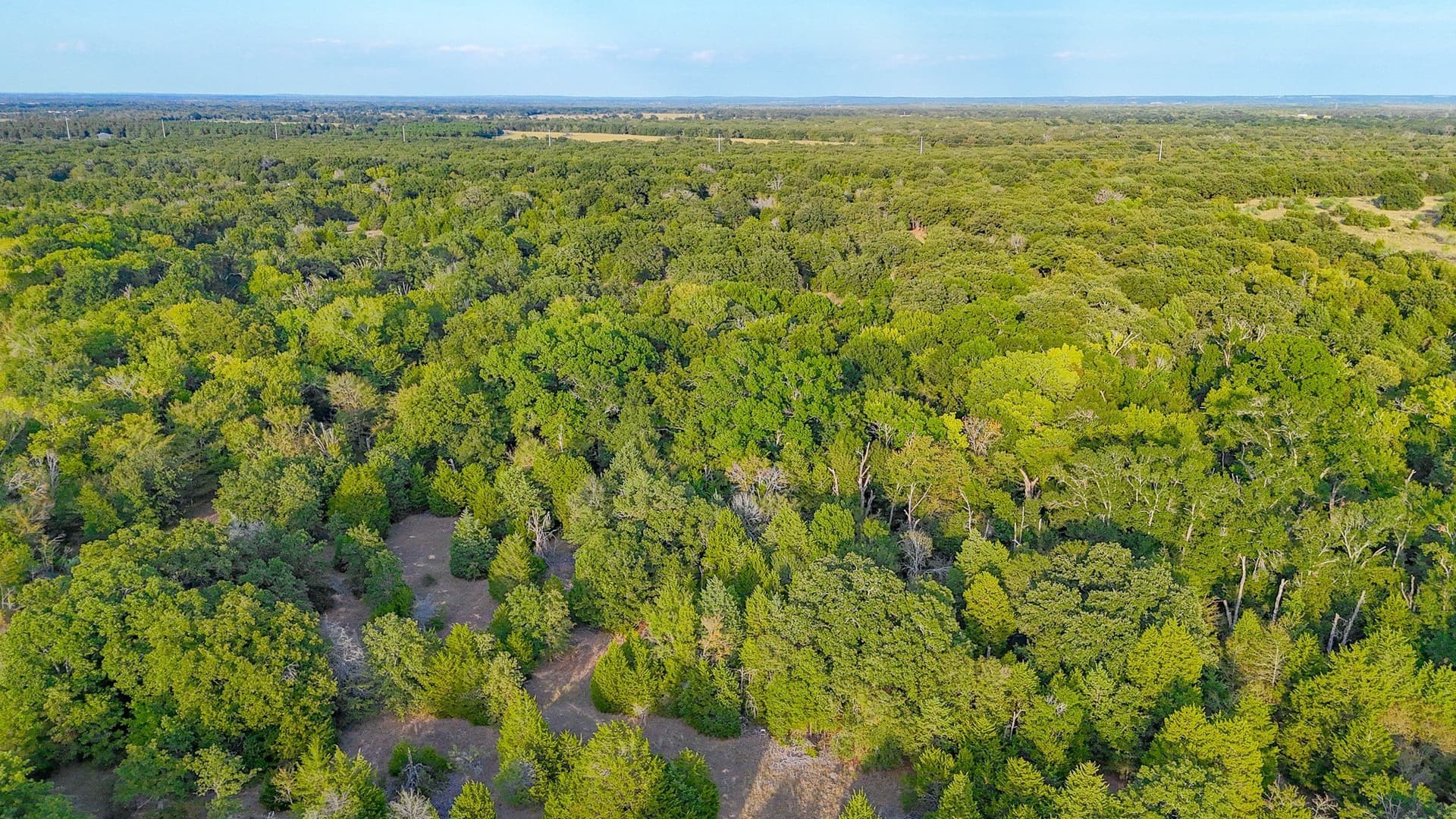 13.11 acres in Navarro County - photo 31