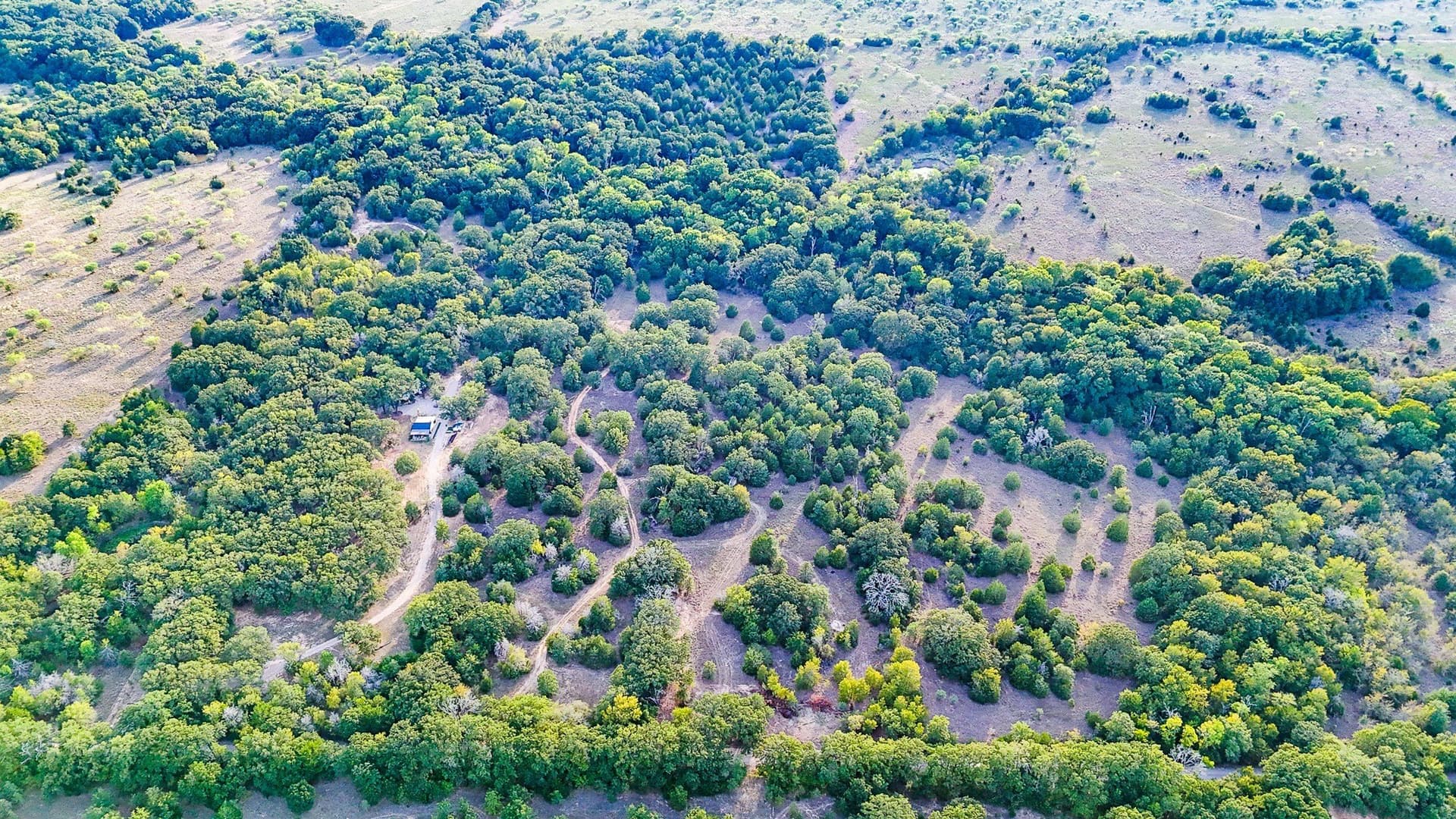 13.11 acres in Navarro County - photo 13