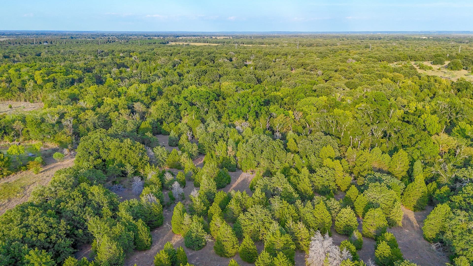 13.11 acres in Navarro County - photo 30