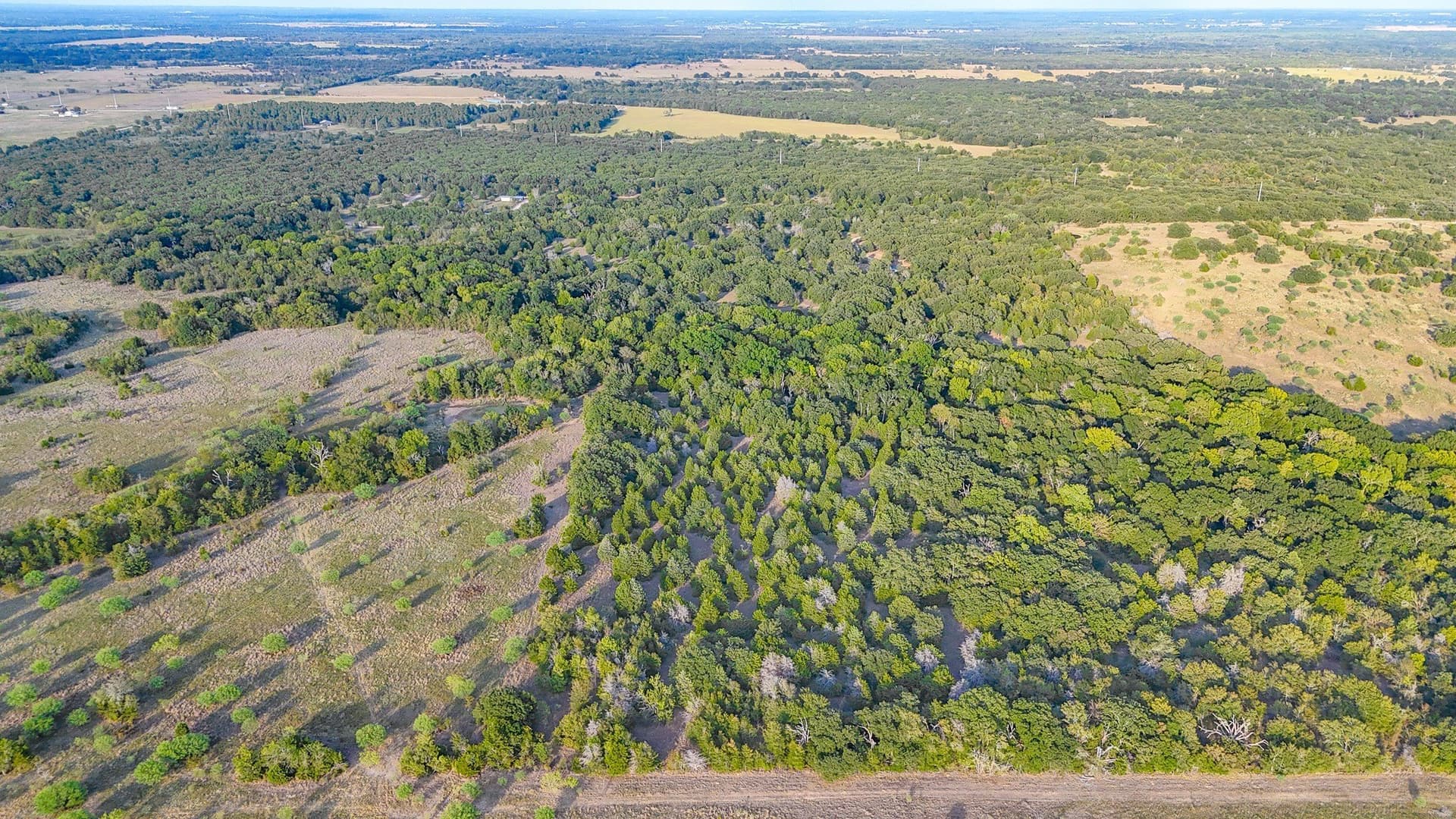 13.11 acres in Navarro County - photo 22