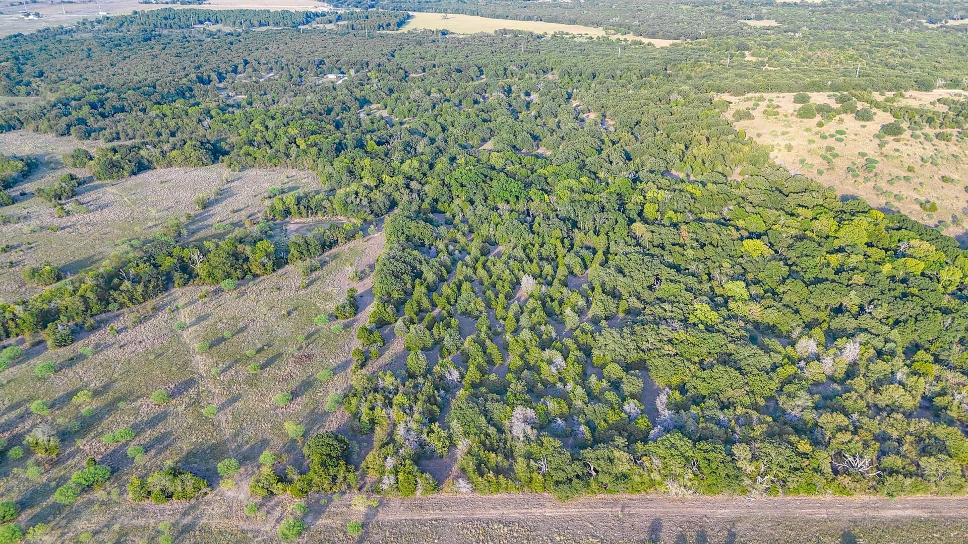 13.11 acres in Navarro County - photo 20