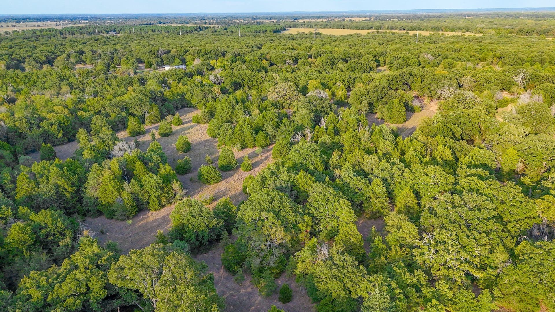 13.11 acres in Navarro County - photo 35