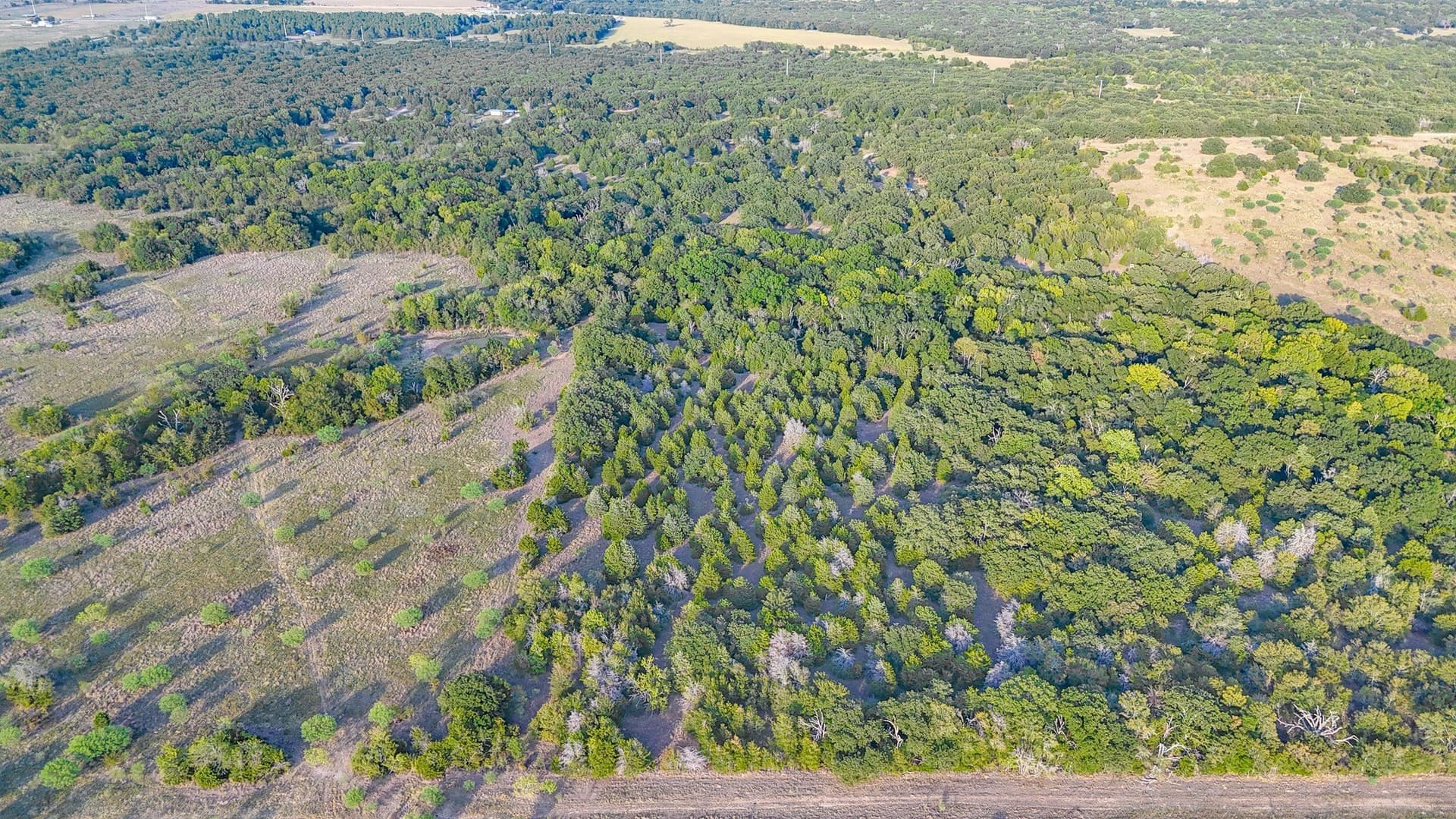 13.11 acres in Navarro County - photo 19