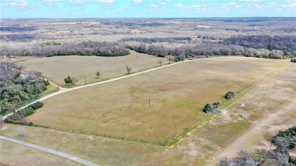 10.49 acres in Leon County gallery image 3