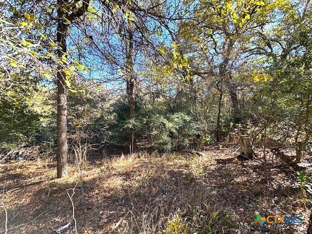 0.38 acres in Bastrop County featured view