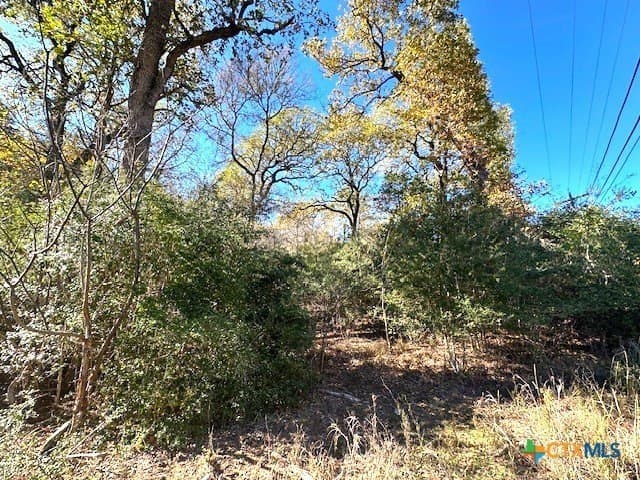 0.38 acres in Bastrop County - photo 8