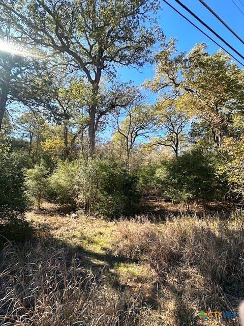 0.38 acres in Bastrop County gallery image 3