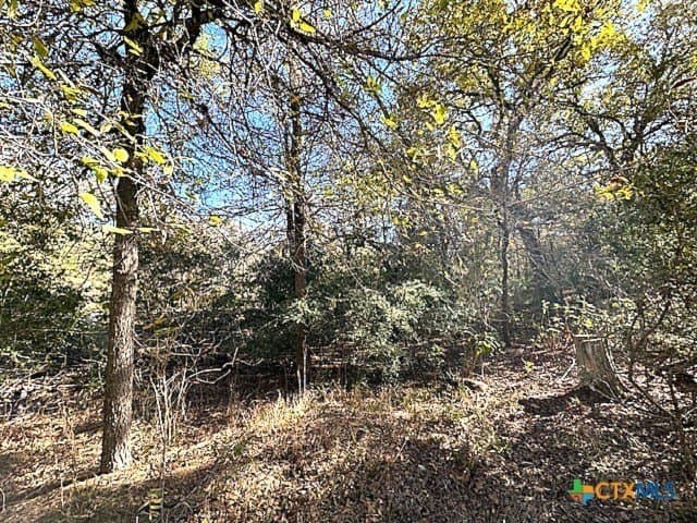 0.38 acres in Bastrop County - photo 6