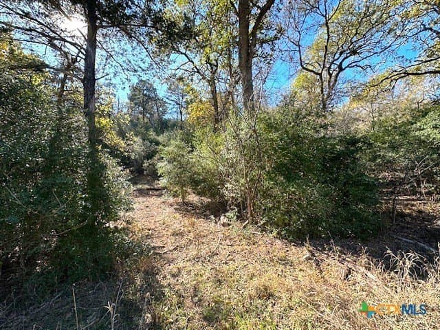 0.38 acres in Bastrop County - photo 11