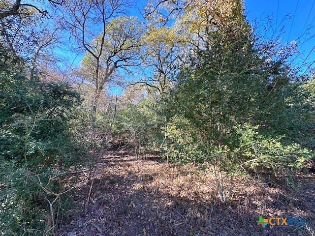 0.38 acres in Bastrop County - photo 12