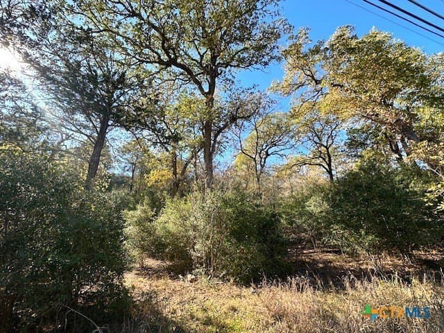 0.38 acres in Bastrop County - photo 9
