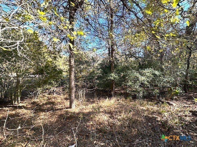 0.38 acres in Bastrop County - photo 7