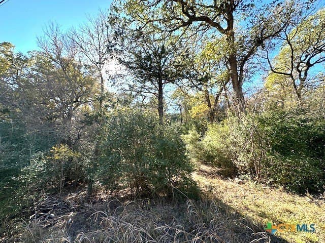 0.38 acres in Bastrop County