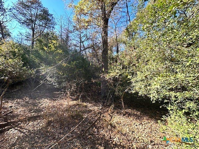 0.38 acres in Bastrop County gallery image 4