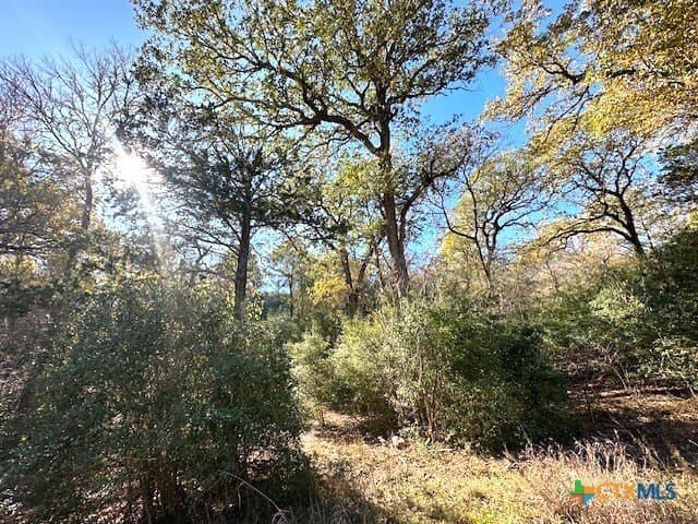 0.38 acres in Bastrop County - photo 10