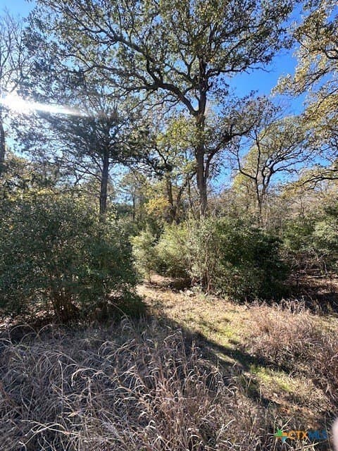 0.38 acres in Bastrop County gallery image 2