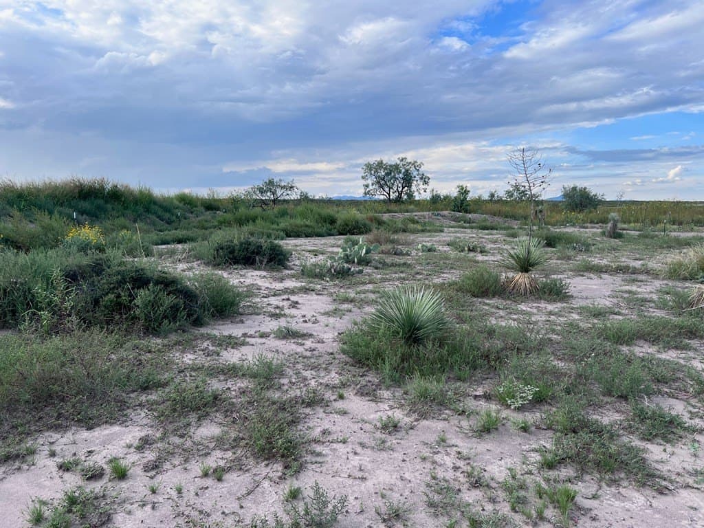 0.42 acres in Presidio County - photo 6