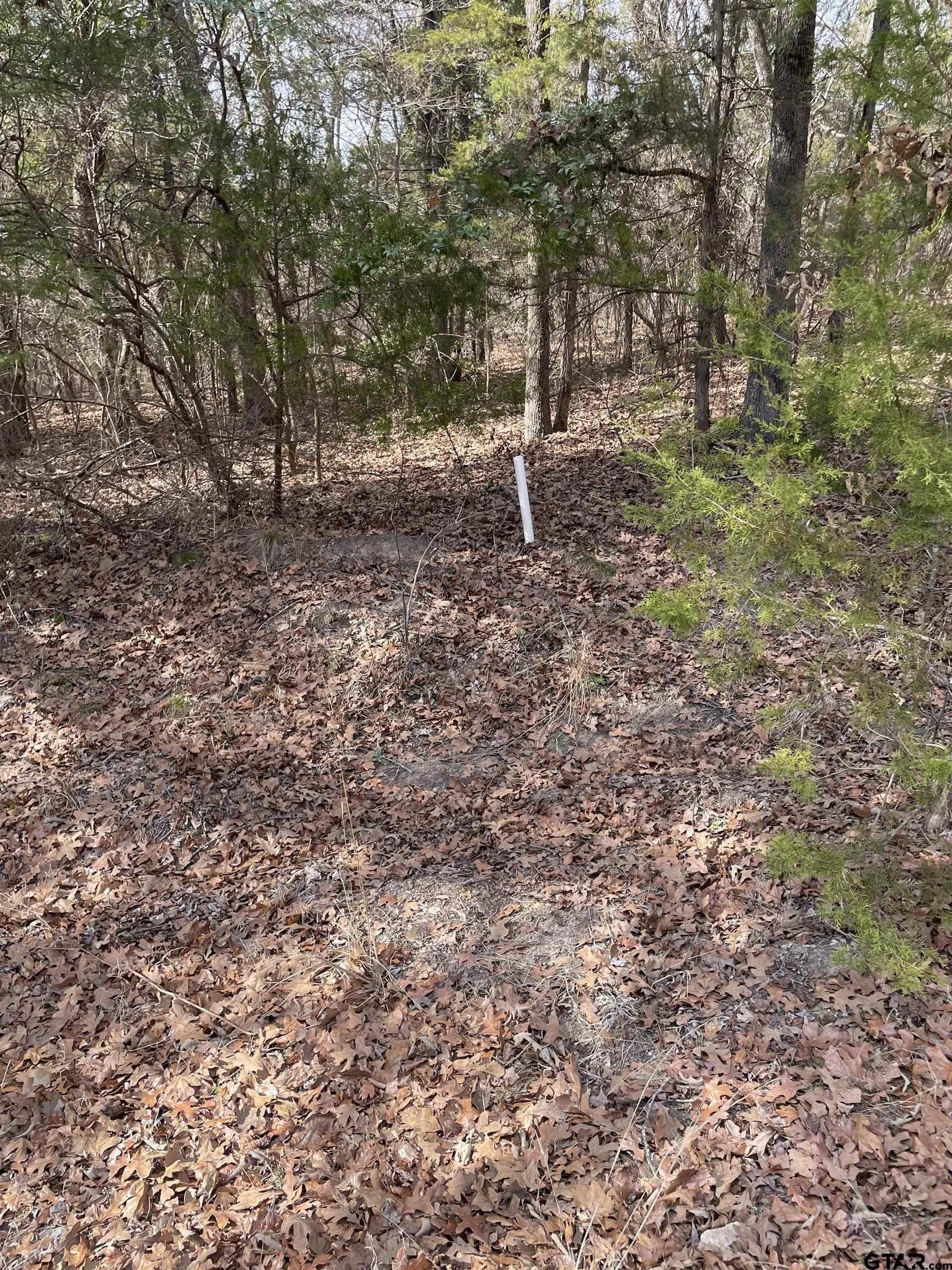 0.66 acres in Van Zandt County gallery image 2