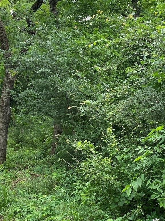 0.16 acres in Navarro County gallery image 3