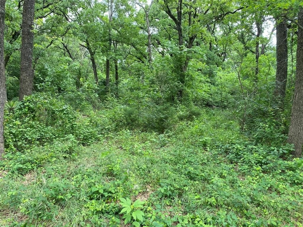 0.16 acres in Navarro County gallery image 2